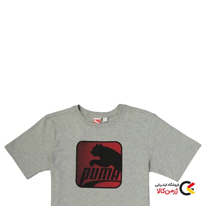 تیشرت طوسی2