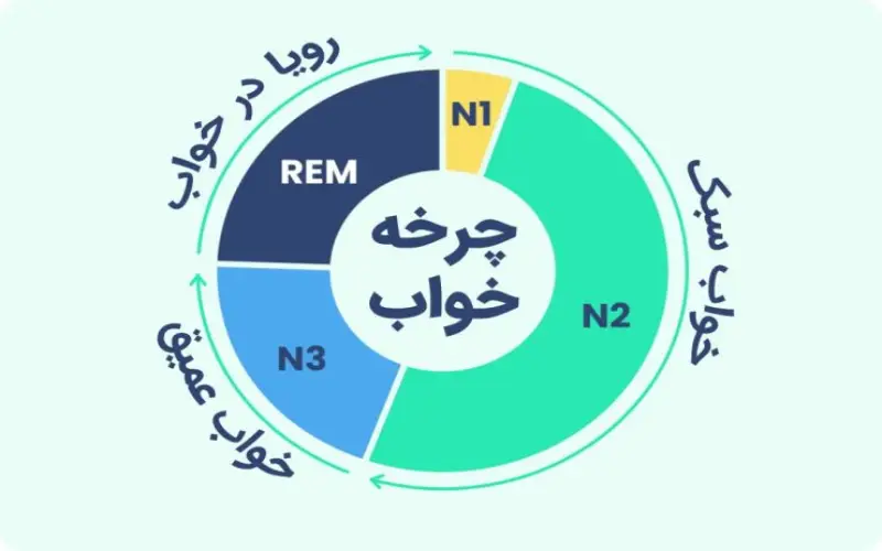 مراحل خواب